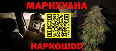 прущие грибы Нальчик