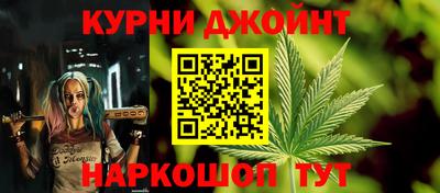 прущие грибы Нальчик