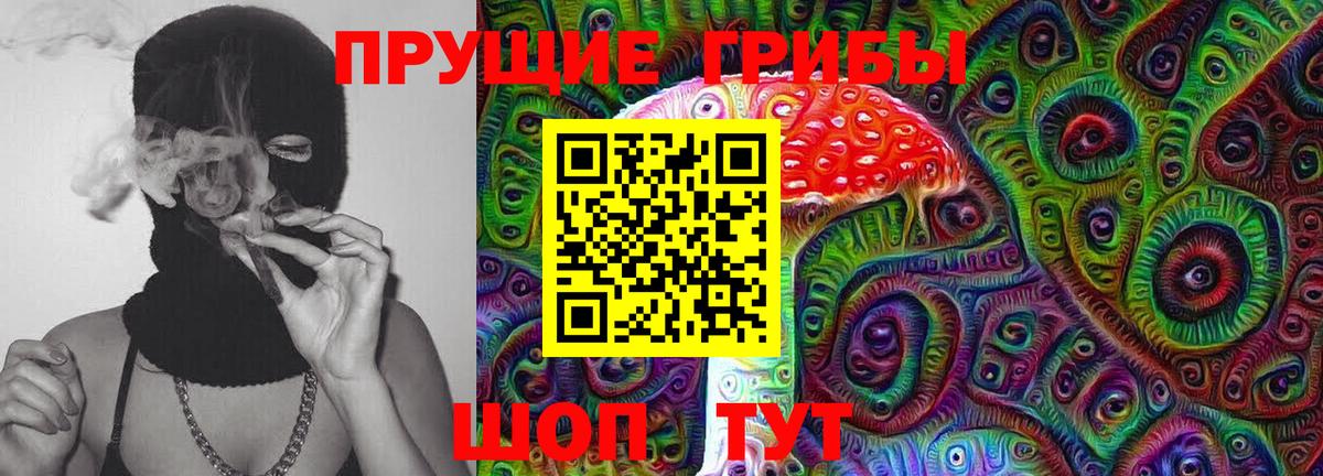 Чайковский  Псилоцибиновые грибы прущие грибы  Вход с VPN  Псилоцибиновые грибы ЛСД 