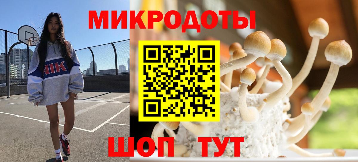 Псилоцибиновые грибы GOLDEN TEACHER Чайковский